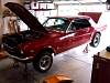 mustangfloors010.jpg